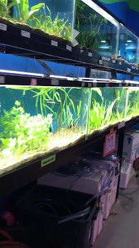 World of Wet Pets photo 2