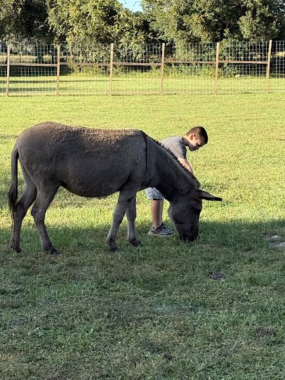 Country Kingdom Petting Farm photo 6