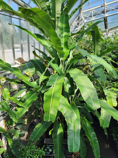 Cleveland Botanical Garden photo 6