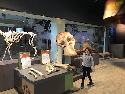 Bell Museum photo 4