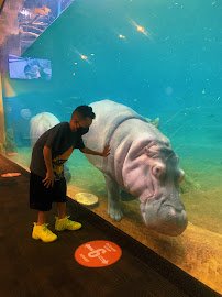 Adventure Aquarium photo 3