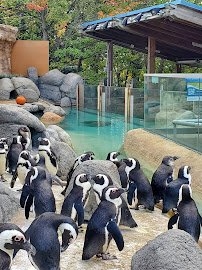 Adventure Aquarium photo 5