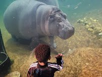 Adventure Aquarium photo 6