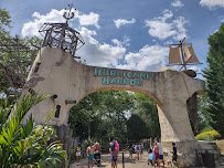 Six Flags Hurricane Harbor photo 6