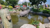 Wild Animal Lagoon photo 2