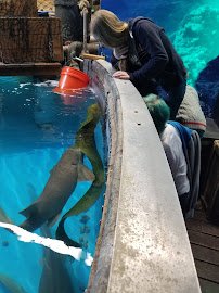 Branson's Wild World photo 3