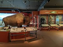 Wyoming State Museum photo 5