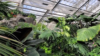 Butterfly Biosphere photo 2