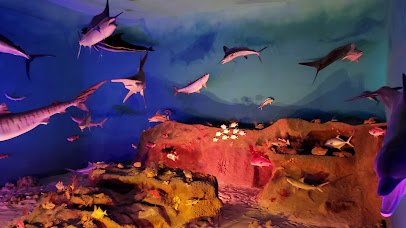 Museum of Coastal Carolina photo 2