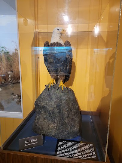 Museum of Coastal Carolina photo 6
