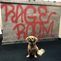 ABQ Rage Room photo 5