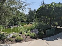 Children's Discovery Garden photo 5