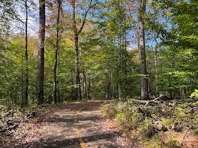Carrie Murray Nature Center photo 3