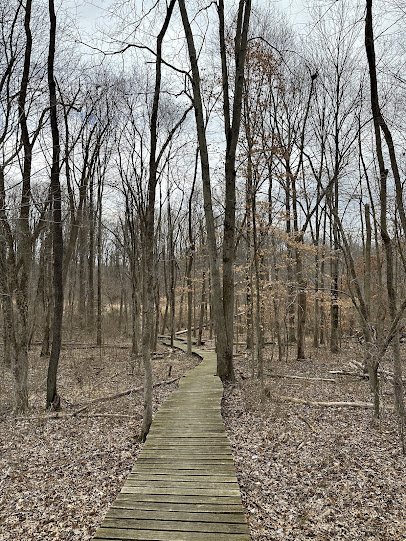 Carrie Murray Nature Center photo 4