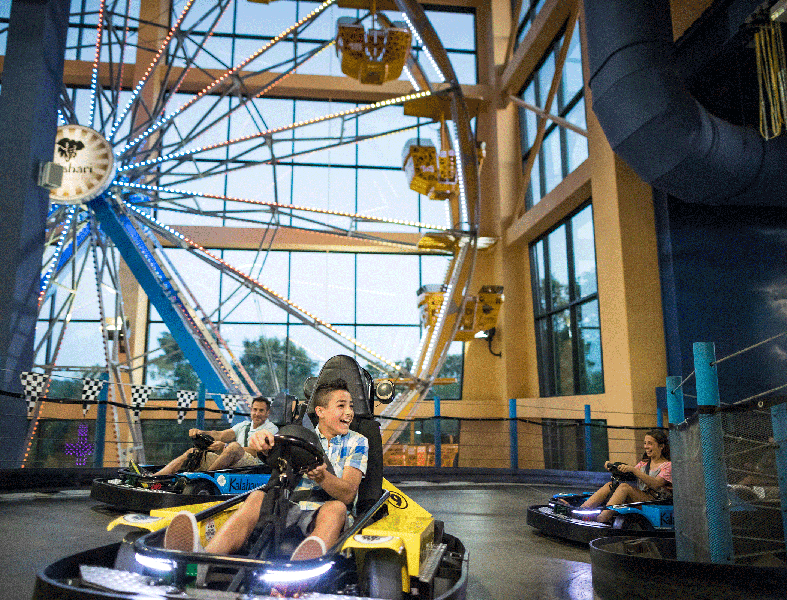 Tom Foolerys Adventure Park photo 4