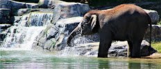 Rosamond Gifford Zoo