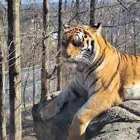 Rosamond Gifford Zoo photo 6