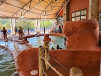 Wild WaterDome Indoor Waterpark photo 5