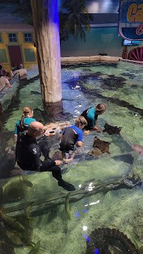 Layton Aquarium & Wildlife photo 4