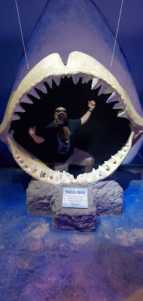 Layton Aquarium & Wildlife photo 5