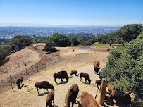 California Trail at Oakland Zoo photo 4