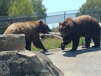 California Trail at Oakland Zoo photo 6