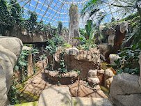 World of Primates at Fort Worth Zoo photo 3