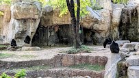 World of Primates at Fort Worth Zoo photo 5