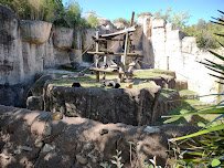 World of Primates at Fort Worth Zoo photo 5