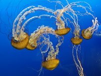 Toledo Zoo Aquarium photo 3