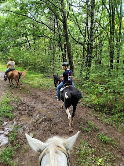Bailiwick Animal Park and Riding Stables photo 4