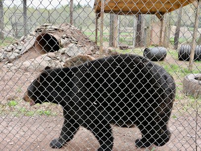 Bailiwick Animal Park and Riding Stables photo 5
