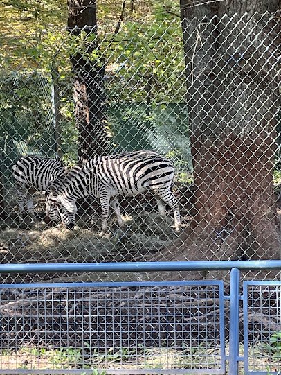 Bailiwick Animal Park and Riding Stables photo 6