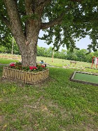 Oskaloosa Mini Putt photo 2