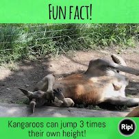 Aikman Wildlife Adventure photo 2