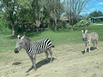 Aikman Wildlife Adventure photo 3