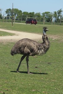 Aikman Wildlife Adventure photo 4