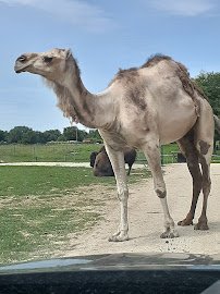 Aikman Wildlife Adventure photo 5