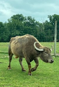 Aikman Wildlife Adventure photo 6