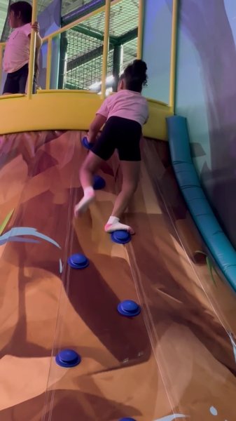 Wild Child Indoor Play photo 2