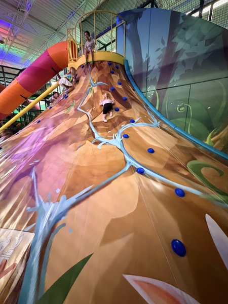 Wild Child Indoor Play photo 5
