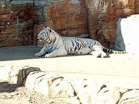 Irvine Park Zoo
