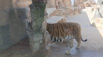Irvine Park Zoo photo 2