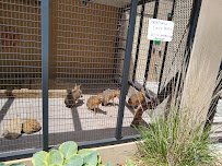 Irvine Park Zoo photo 5