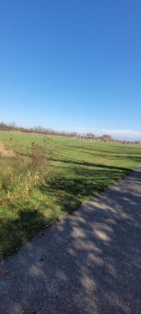 Rolling Hills Water Park photo 4