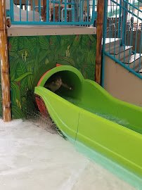 Palm Island Indoor Waterpark photo 6