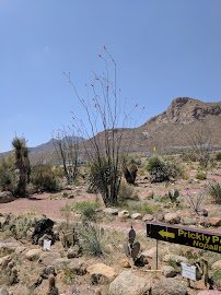 El Paso Museum of Archaeology photo 3