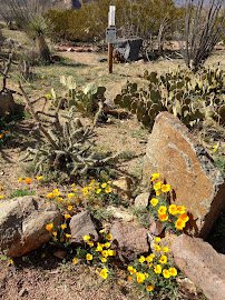 El Paso Museum of Archaeology photo 4