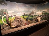 El Paso Museum of Archaeology photo 6