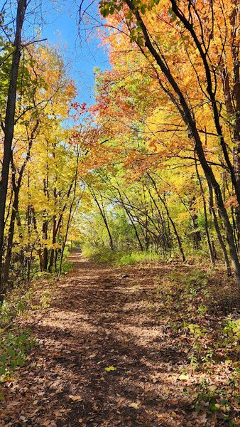 Eastman Nature Center photo 4